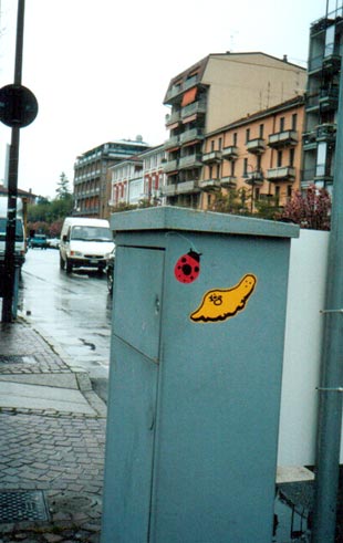 108 | ladybug | arona | italy