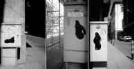 108 | alessandria | italy (2 votes)