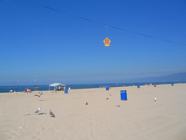 above | losangeles | beach | california