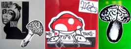 krudality | luze | mushroom | italy (3 votes)