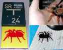 luze | milano | krudality | spider (2 votes)