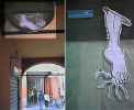 santy | bologna | krudality | italy
