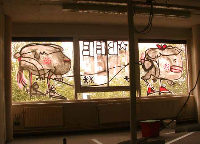 shes54 | enschede | window | netherlands