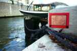 telecran | duck | supakitch | paris (1 vote)