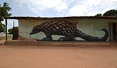 roa | gambia | africa (5 votes)