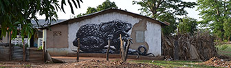 roa | frog | gambia | africa (3 votes)