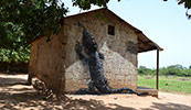 roa | gambia | africa (5 votes)