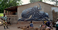 roa | gambia | africa (6 votes)