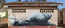 roa | snail | gambia | africa (9 votes)