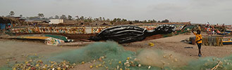 roa | turtle | boat | gambia | africa (8 votes)