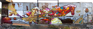 idt-crew | horse | china | asia (27 votes)