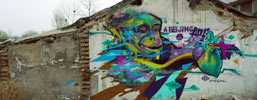 idt-crew | monkey | beijing | china | asia (27 votes)