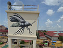 roa | cambodia | asia (5 votes)