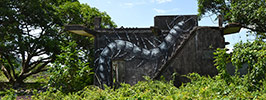 roa | cambodia | asia (5 votes)
