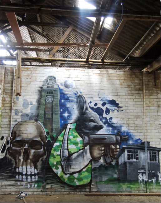 fintan-magee | australia
