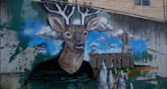 oisin | fintan-magee | australia (19 votes)