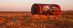 roa | australia (1 vote)