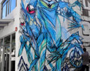 shida | blue | big | australia (17 votes)