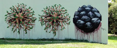 fintan-magee | australia (10 votes)