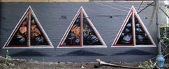 fintan-magee | australia (9 votes)