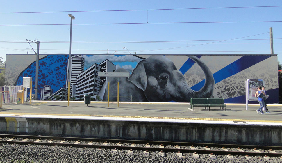 fintan-magee | elephant | australia