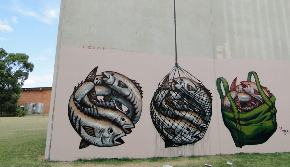 fintan-magee | fish | brisbane | australia
