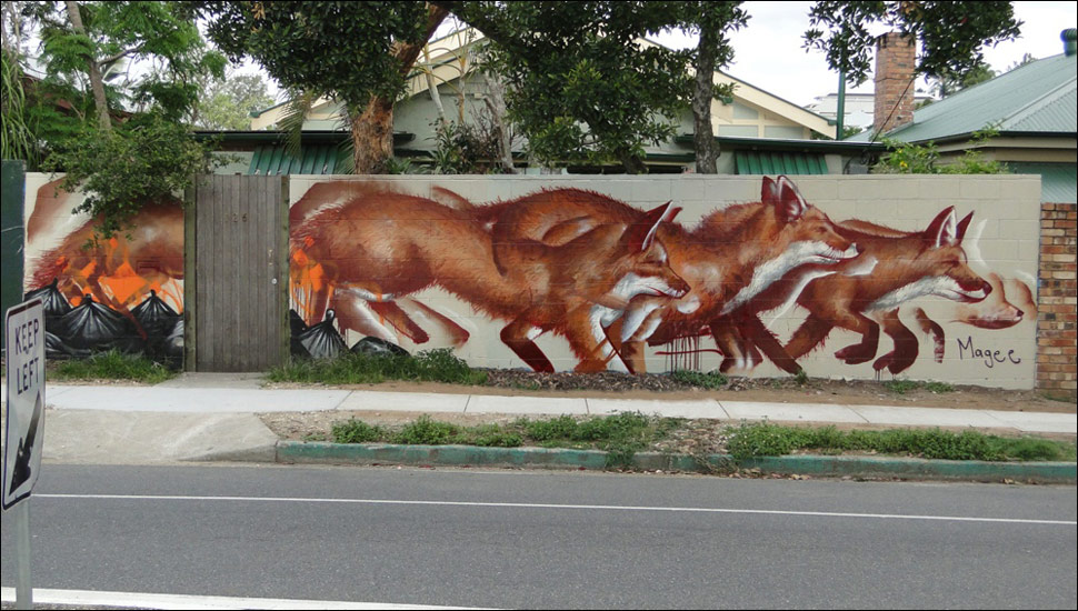 fintan-magee | fox | australia