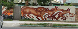 fintan-magee | fox | australia (13 votes)