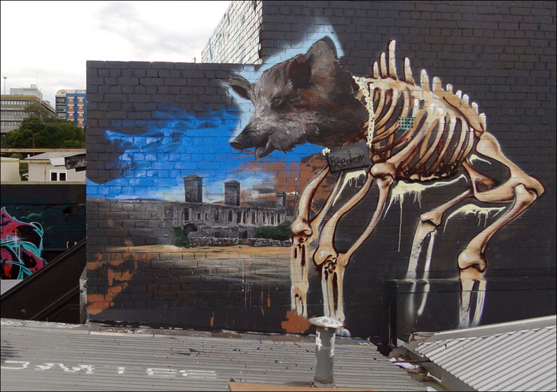 fintan-magee | melbourne | australia