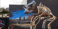 fintan-magee | melbourne | australia (19 votes)