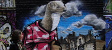 fintan-magee | melbourne | australia (13 votes)