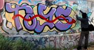 lush | australia (18 votes)