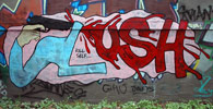 lush | australia (17 votes)