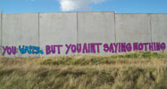 lush | text-message | purple | australia | spring11 (76 votes)