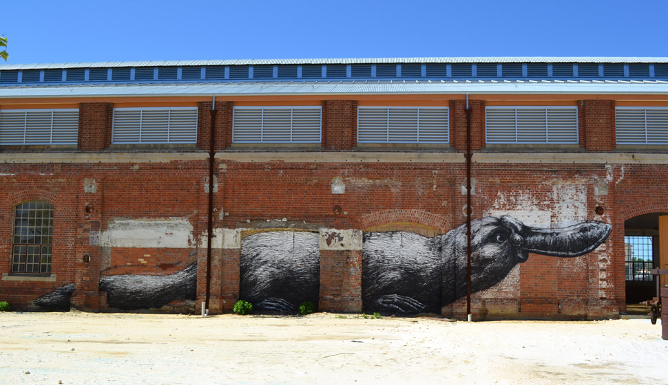 roa | australia