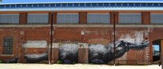roa | australia (8 votes)