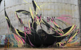 shida | australia (19 votes)