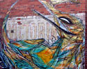 shida | australia (13 votes)