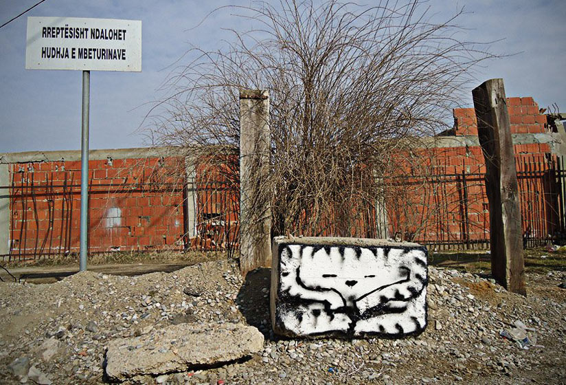 lunar | cat | pristina | kosovo | balkans
