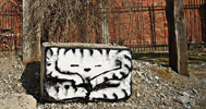 lunar | cat | pristina | kosovo | balkans (26 votes)