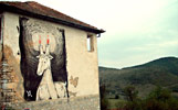 master | serbia | balkans (21 votes)