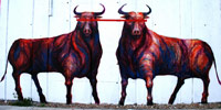 jaz | toro | barcelona (16 votes)
