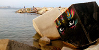 stinkfish | barcelona (20 votes)