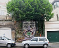 muga | contextual-face | tree | bruxelles | belgium (30 votes)