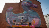 aryz | duck | process | big | belgium (30 votes)