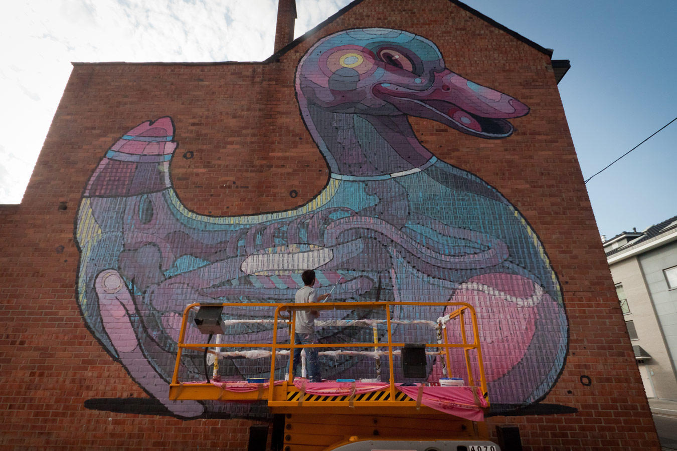 aryz | duck | process | big | belgium