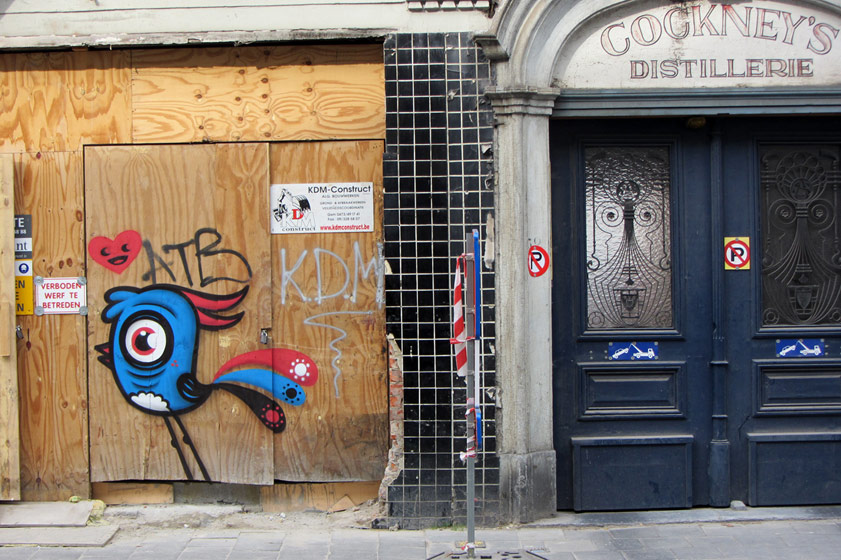 bue | bird | belgium