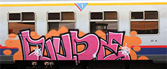 nude | pink | train | belgium (6 votes)