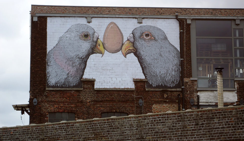 ericailcane | gent | bird | belgium
