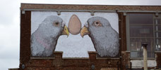 ericailcane | gent | bird | belgium (13 votes)